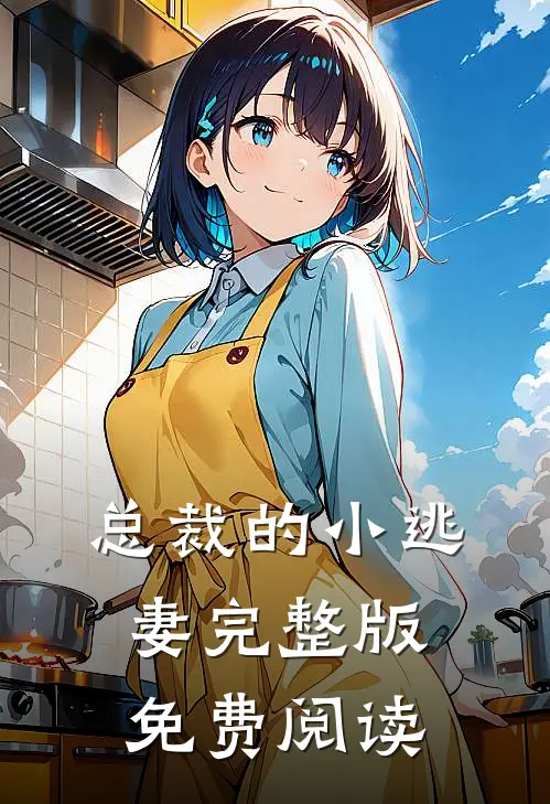 总裁的小逃妻完整版免费阅读