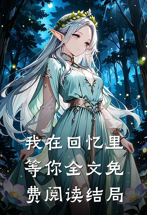 我在回忆里等你全文免费阅读结局