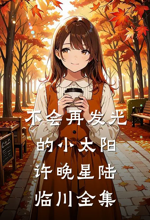 不会再发光的小太阳许晚星陆临川全集