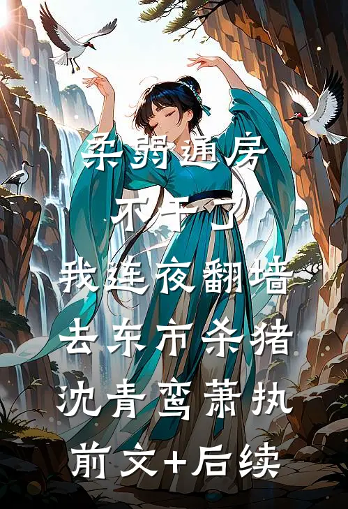 柔弱通房不干了，我连夜翻墙去东市杀猪沈青鸾萧执前文+后续