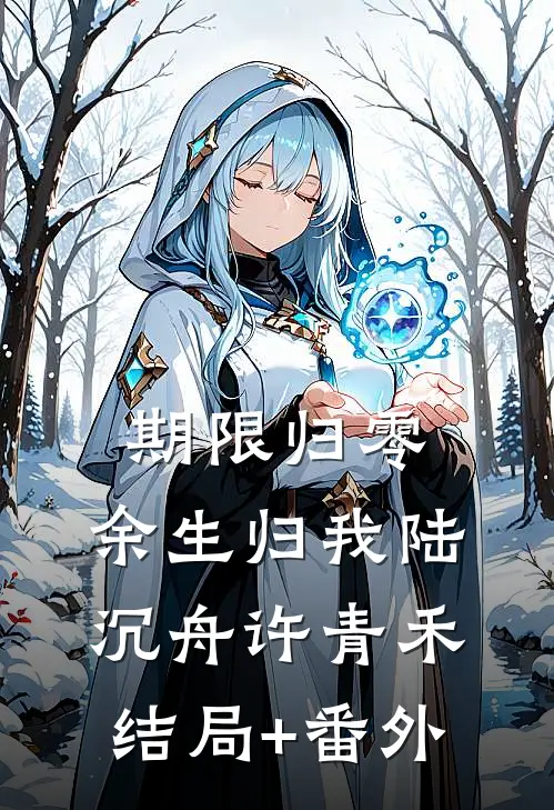 期限归零，余生归我陆沉舟许青禾结局+番外