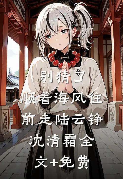 别猜了，顺着海风往前走陆云铮沈清霜全文+免费
