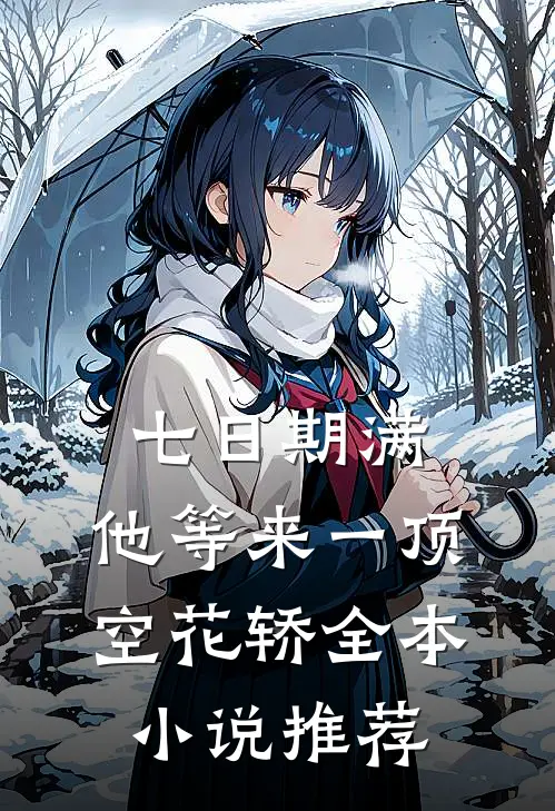 七日期满，他等来一顶空花轿全本小说推荐