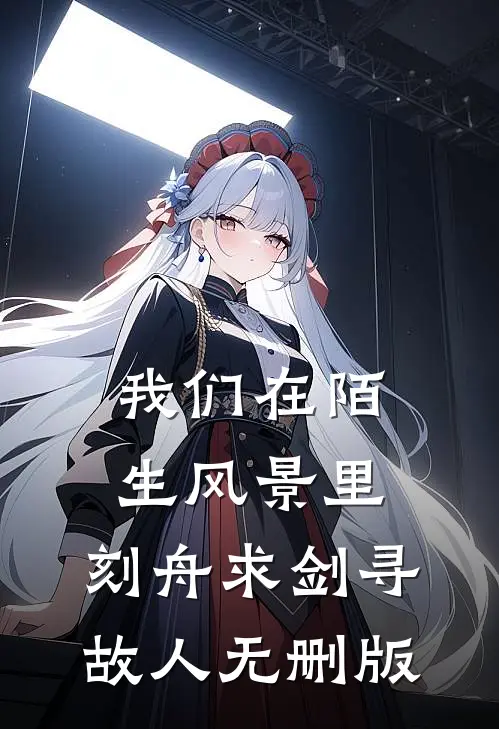 我们在陌生风景里，刻舟求剑寻故人无删版