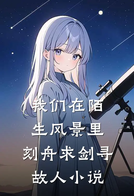 我们在陌生风景里，刻舟求剑寻故人小说