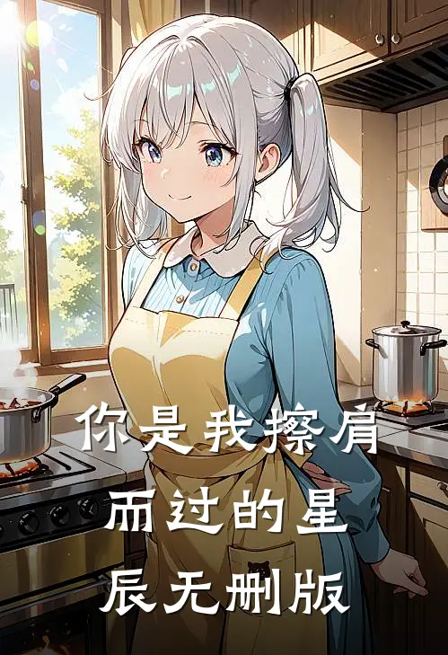 你是我擦肩而过的星辰无删版