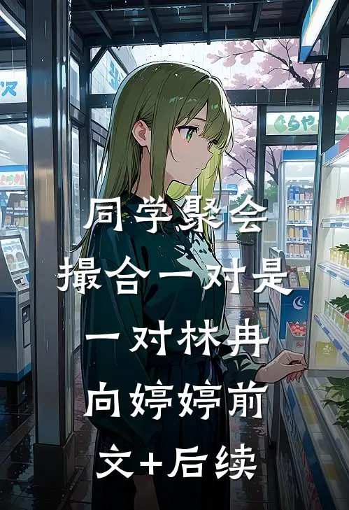 同学聚会，撮合一对是一对林冉向婷婷前文+后续