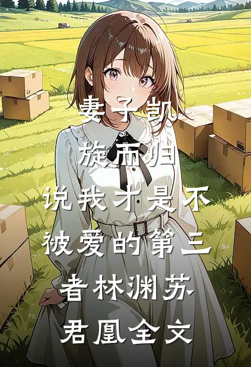 妻子凯旋而归，说我才是不被爱的第三者林渊苏君凰全文