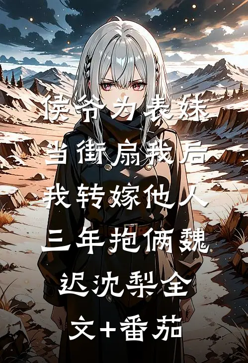 侯爷为表妹当街扇我后，我转嫁他人三年抱俩魏迟沈梨全文+番茄