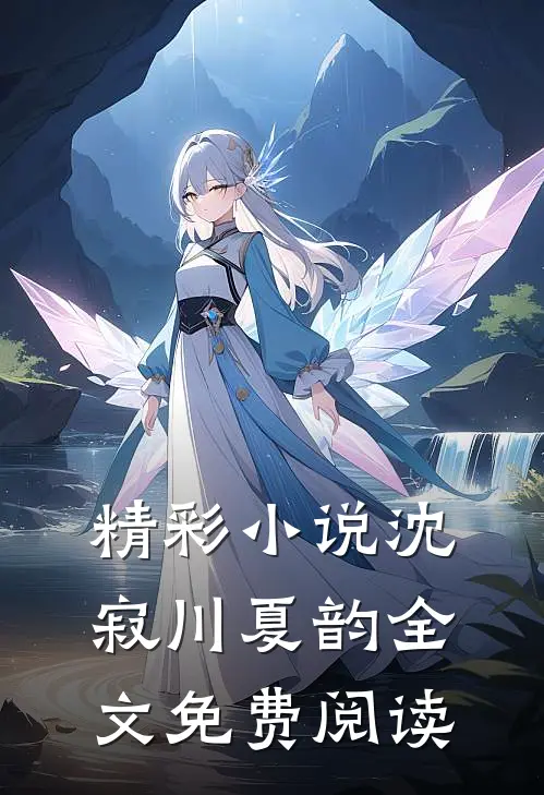 精彩小说沈寂川夏韵全文免费阅读