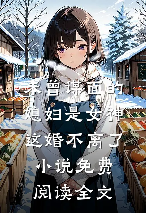 未曾谋面的媳妇是女神，这婚不离了小说免费阅读全文