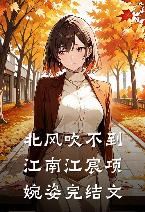 北风吹不到江南江宸项婉姿完结文