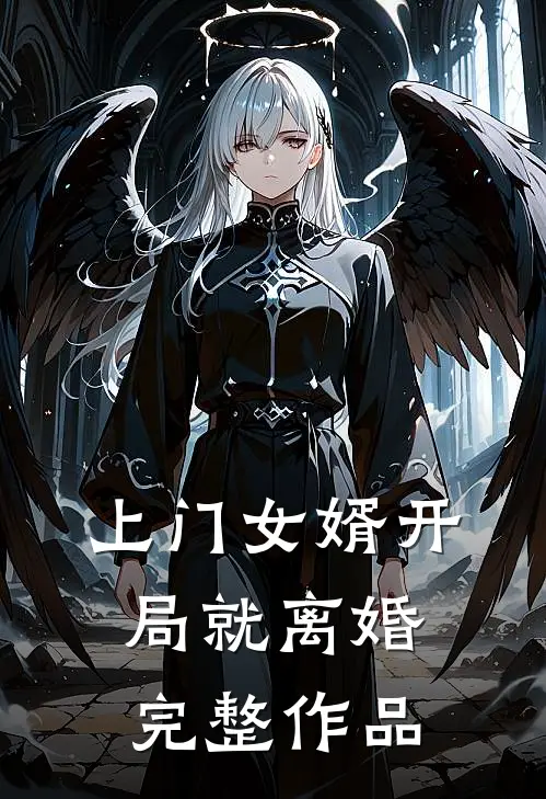 上门女婿开局就离婚完整作品