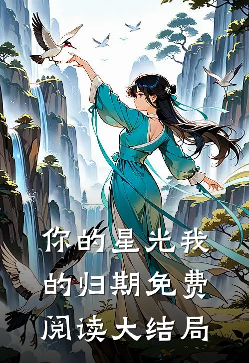 你的星光我的归期免费阅读大结局