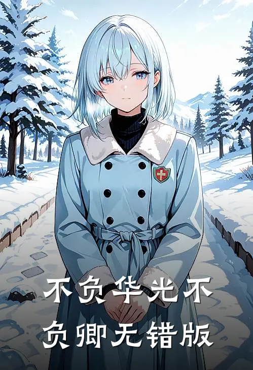 不负华光不负卿无错版