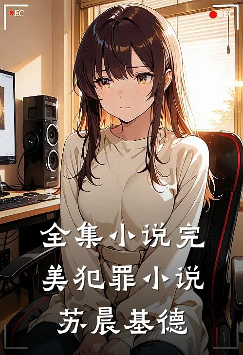全集小说完美犯罪小说苏晨基德