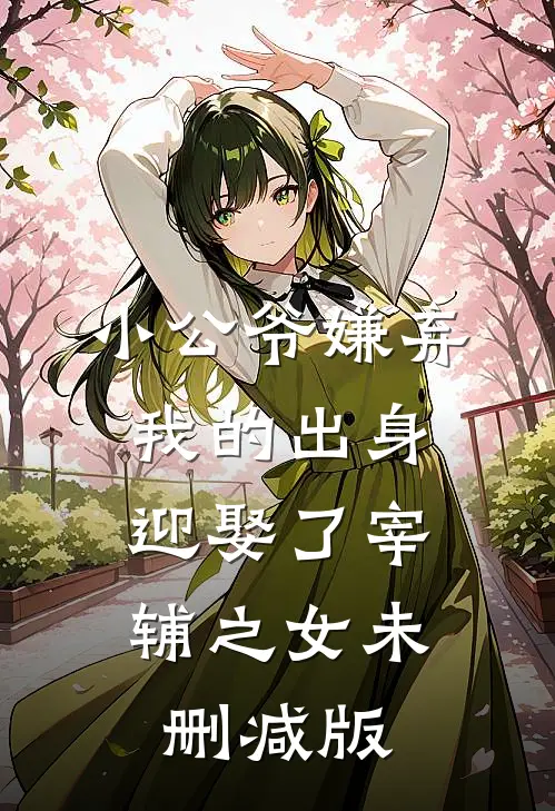 小公爷嫌弃我的出身，迎娶了宰辅之女未删减版