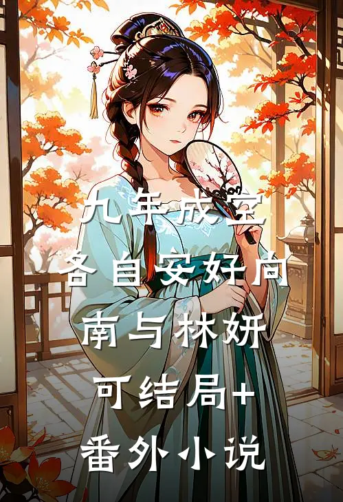九年成空，各自安好向南与林妍可结局+番外小说