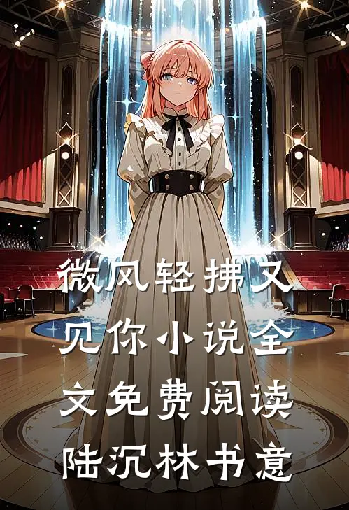 微风轻拂又见你小说全文免费阅读陆沉林书意