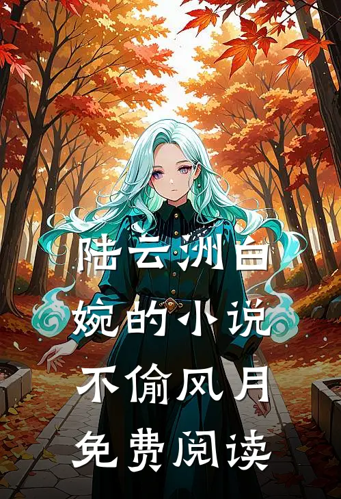 陆云洲白婉的小说不偷风月免费阅读