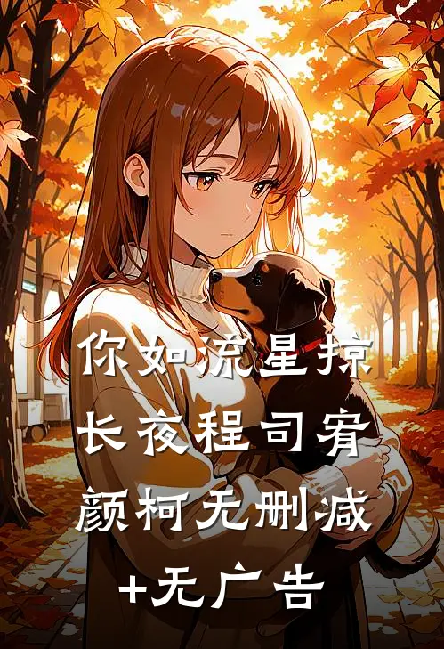 你如流星掠长夜程司宥颜柯无删减+无广告