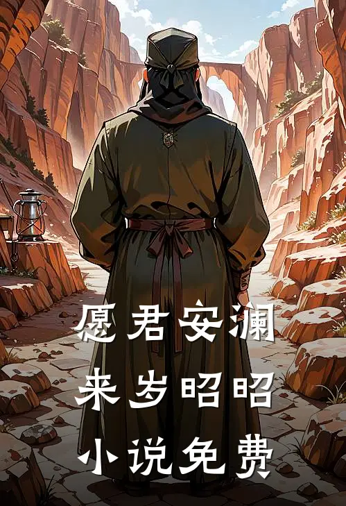 愿君安澜，来岁昭昭小说免费