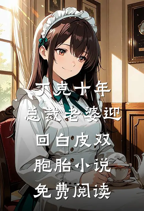 丁克十年，总裁老婆迎回白皮双胞胎小说免费阅读