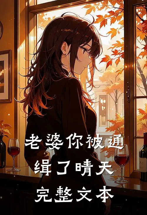 老婆你被通缉了晴天完整文本