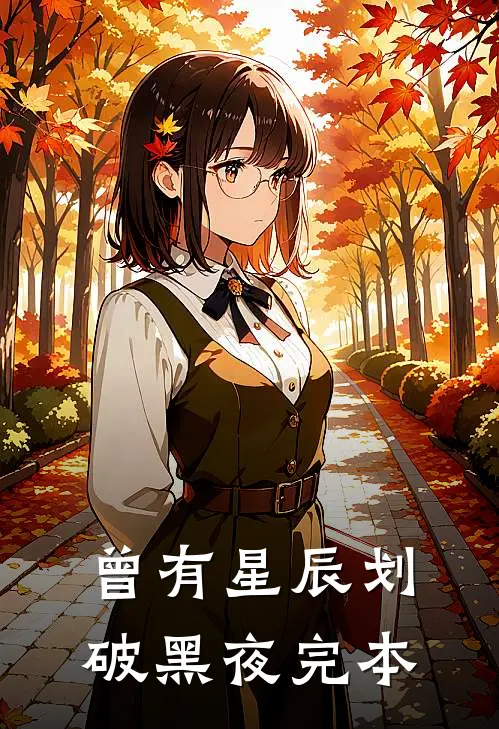 曾有星辰划破黑夜完本