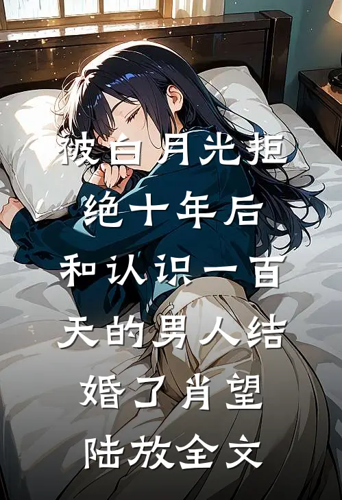 被白月光拒绝十年后，和认识一百天的男人结婚了肖望陆放全文