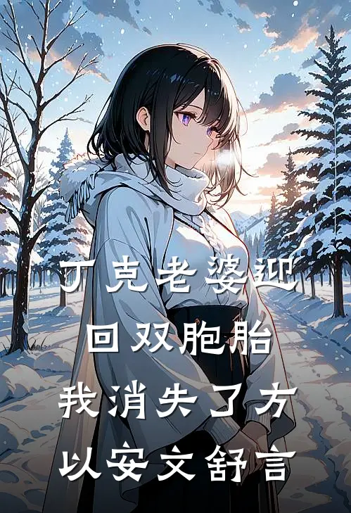 丁克老婆迎回双胞胎，我消失了方以安文舒言