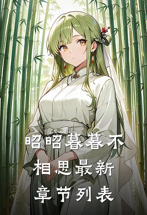 昭昭暮暮不相思最新章节列表