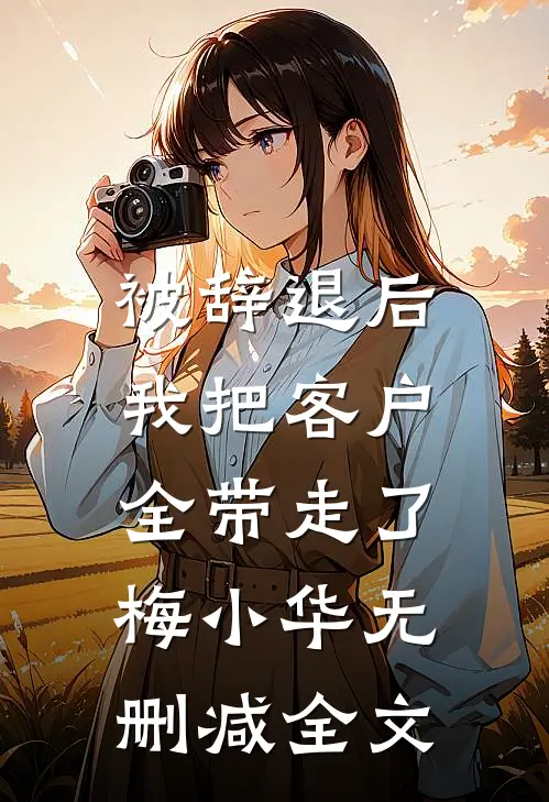 被辞退后，我把客户全带走了梅小华无删减全文