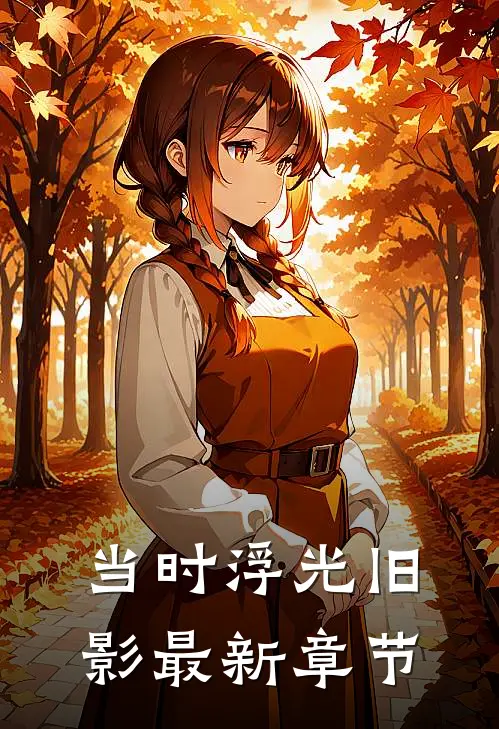 当时浮光旧影最新章节