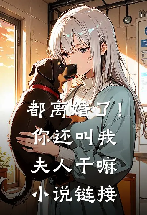 都离婚了！你还叫我夫人干嘛小说链接