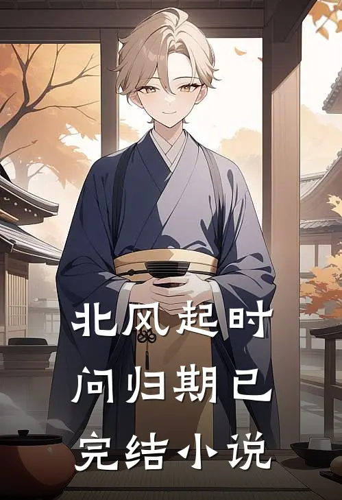 北风起时问归期已完结小说