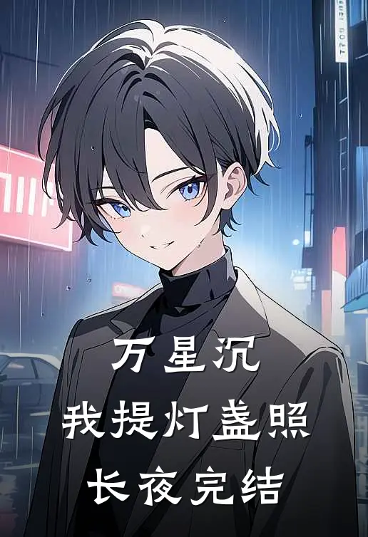 万星沉，我提灯盏照长夜完结