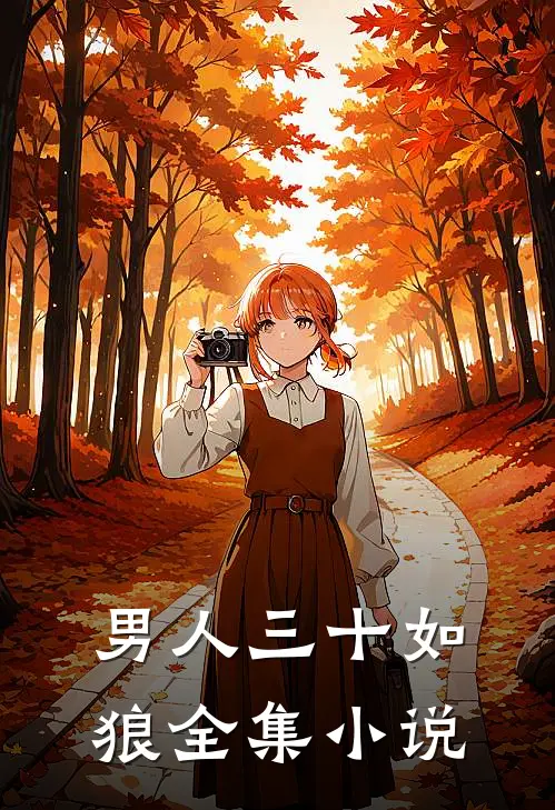 男人三十如狼全集小说