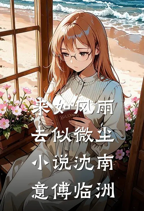 来如风雨，去似微尘小说沈南意傅临洲