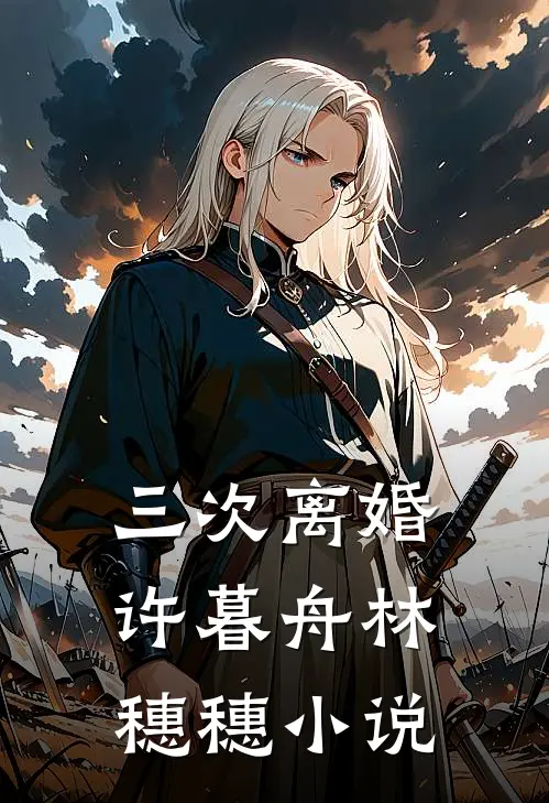 三次离婚许暮舟林穗穗小说