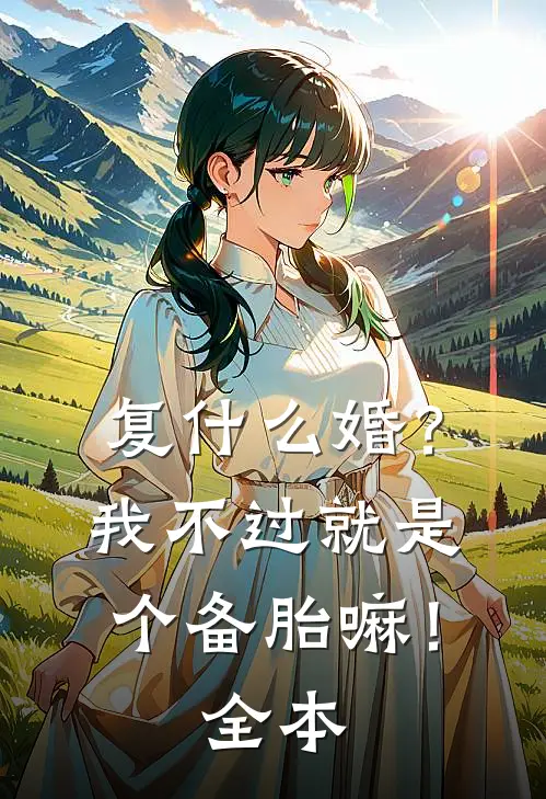 复什么婚？我不过就是个备胎嘛！全本