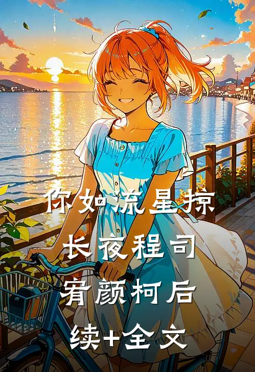 你如流星掠长夜程司宥颜柯后续+全文