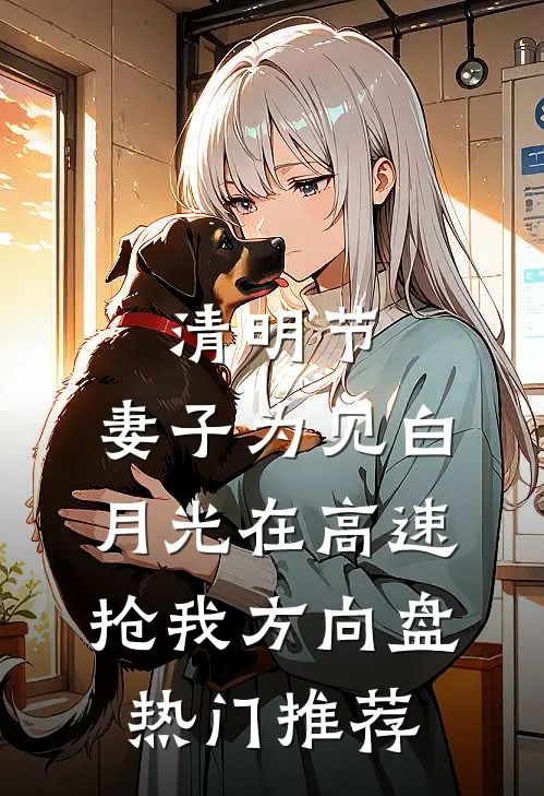 清明节，妻子为见白月光在高速抢我方向盘热门推荐