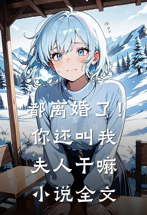 都离婚了！你还叫我夫人干嘛小说全文