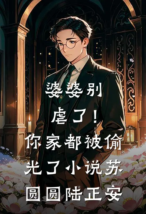 婆婆别虐了！你家都被偷光了小说苏圆圆陆正安