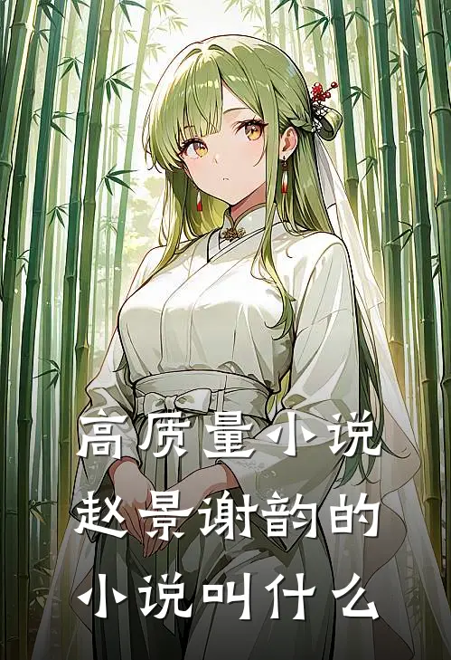 高质量小说赵景谢韵的小说叫什么