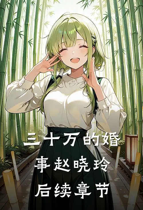 三十万的婚事赵晓玲后续章节