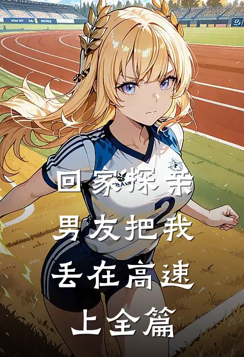 回家探亲，男友把我丢在高速上全篇