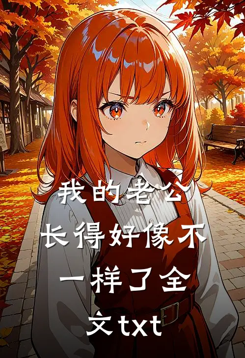 我的老公，长得好像不一样了全文txt