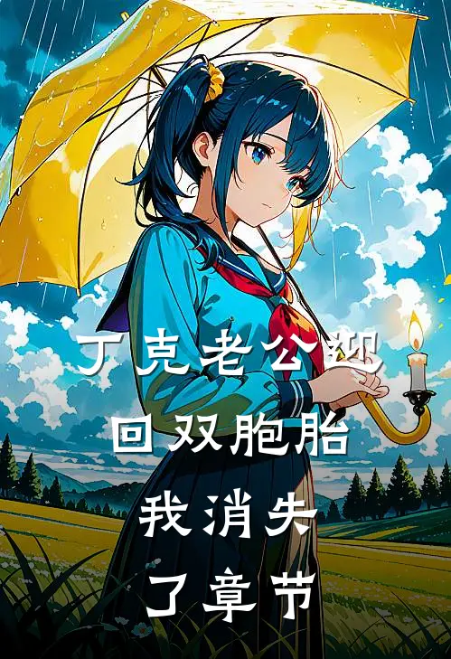 丁克老公迎回双胞胎，我消失了章节